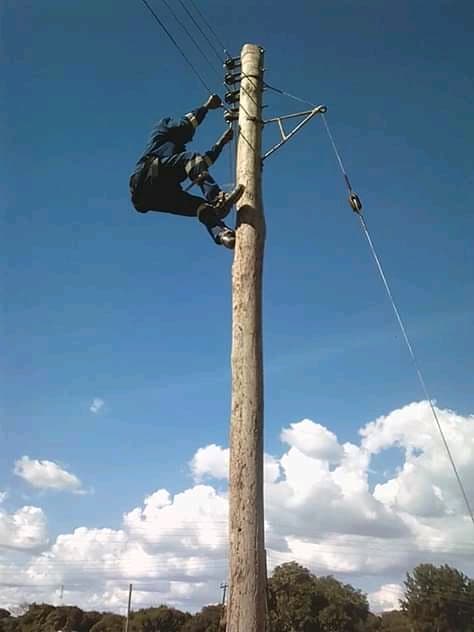 Commercial lighting installation